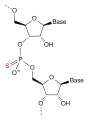 Phosphorothioate RNA of an antisense oligonucleotide