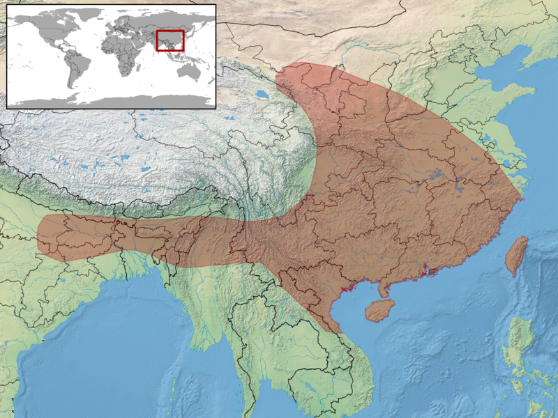 File:Protobothrops mucrosquamatus distribution.png