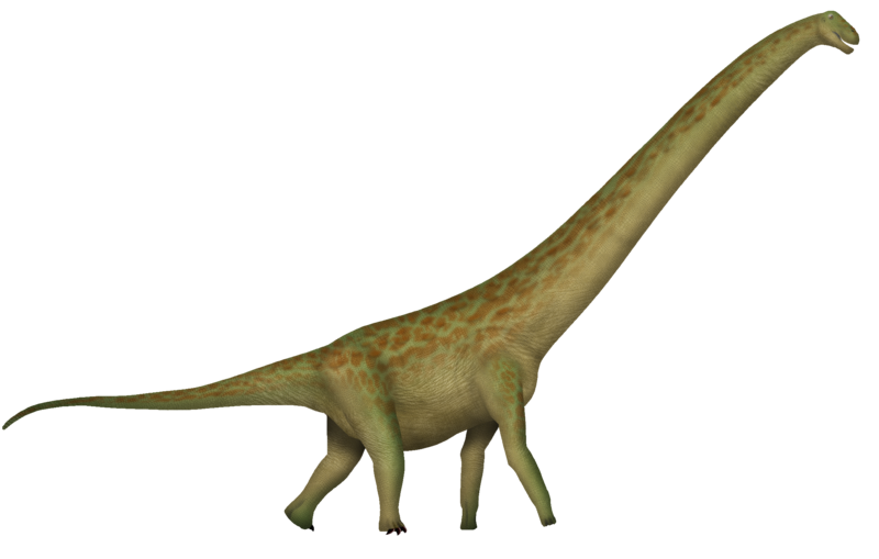 File:Rapetosaurus UDL.png