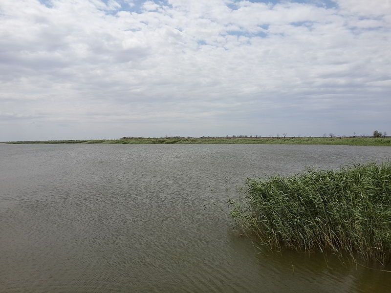 File:Shalqar lake (02).jpg