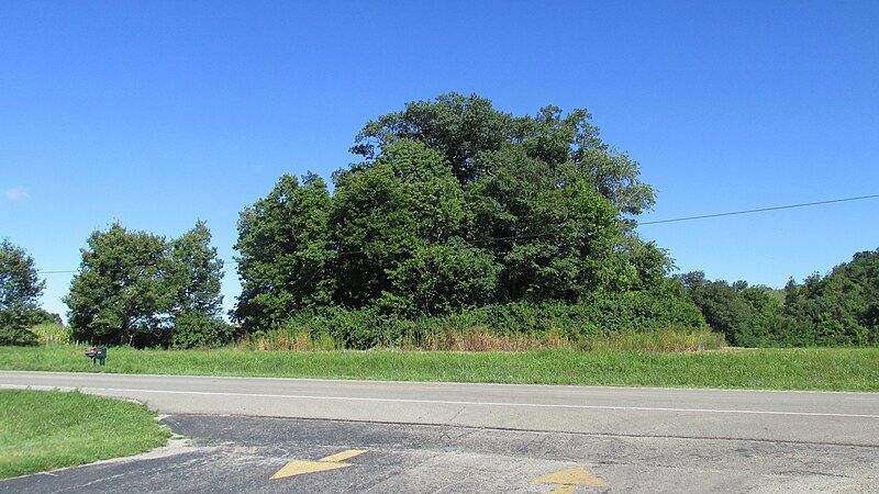 File:T.C. Campbell Mound.JPG