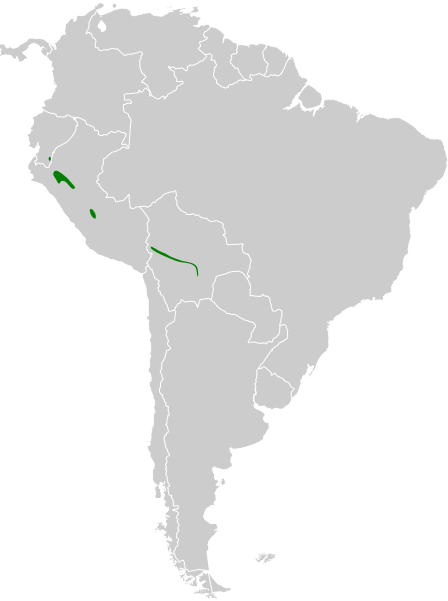 File:Tangara argyrofenges map.svg