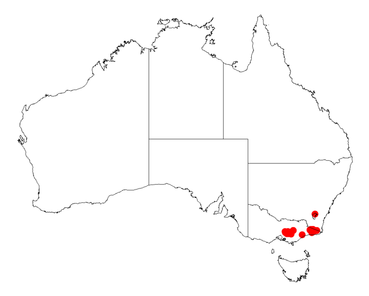 File:Acacia frigescensDistMap371.png