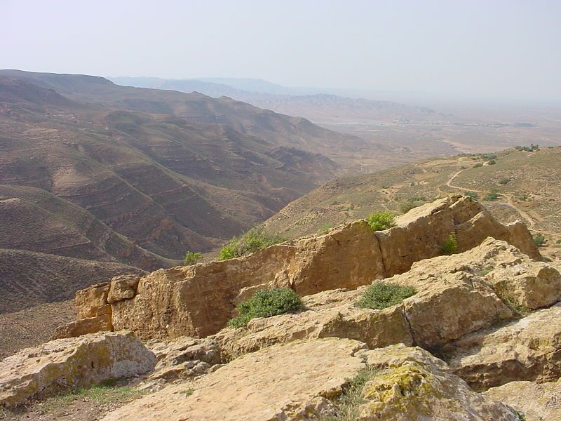 File:Al Asabiya03.JPG