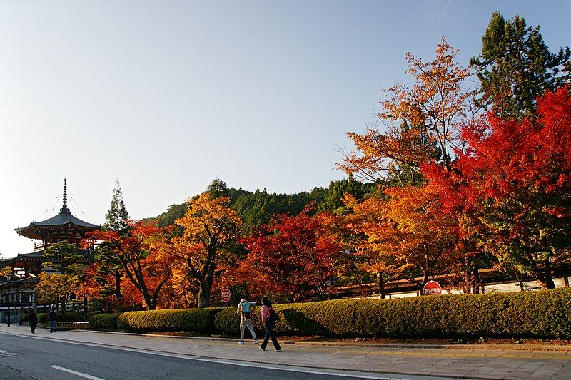 File:Autumn Koyasan Wakayama01s5s3200.jpg