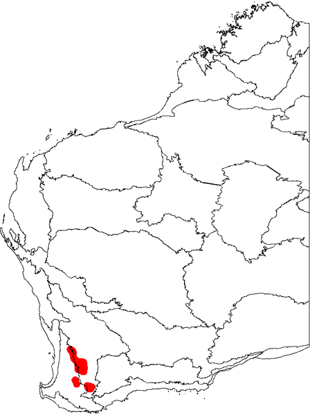 File:Banksia stuposa map.png