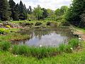 Lake in the Botanical Gardens