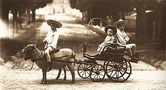 Sheep and children's wagon (1883)