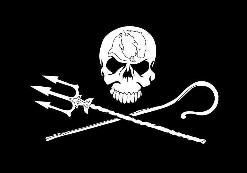 File:Drapeau Sea Shepherd.png