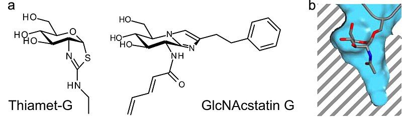 File:F3 Inhibitor.jpg