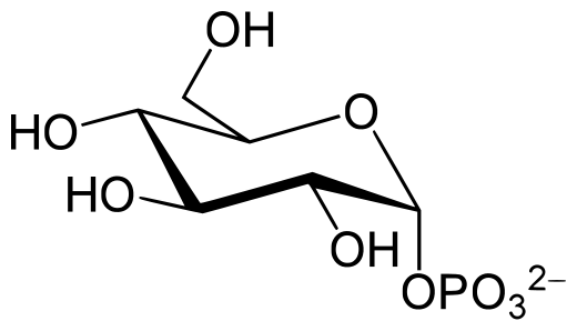 File:Glucose 1-phosphate.svg