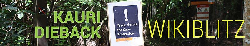 Advertising for Kauri Dieback Wikiblitz