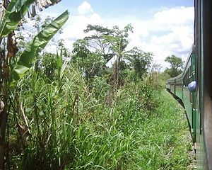 Matadi-Kinshasa Railway