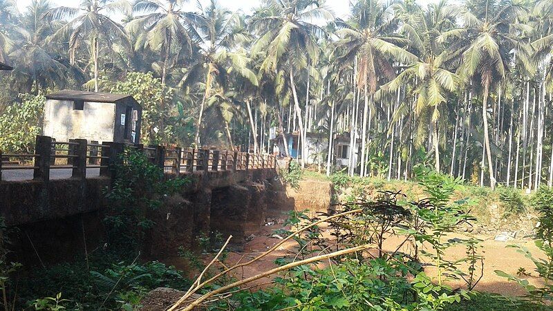 File:Muttathody bridge.jpg