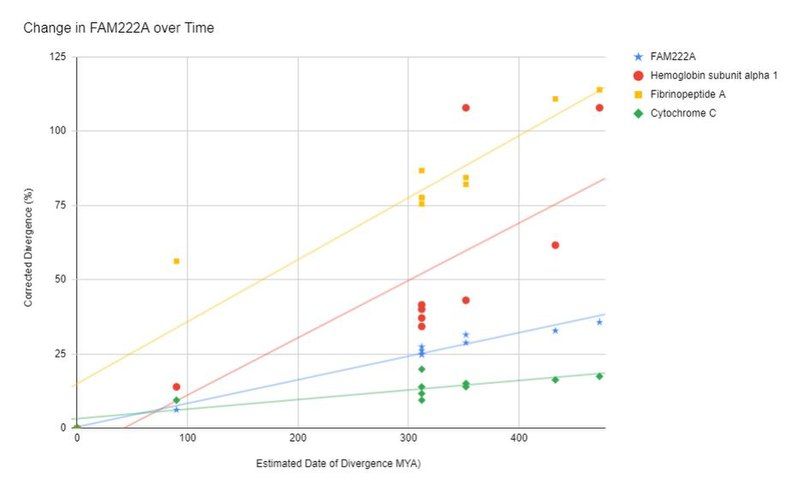 File:Rate of Evolution.jpg