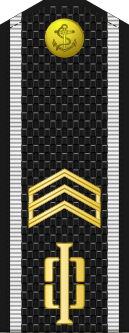 File:Russia-Navy-OR-5-1994-everyday.svg