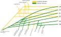 Schematic of sacral plexus. Posterior cutaneous nerve of thigh is labeled at the bottom.