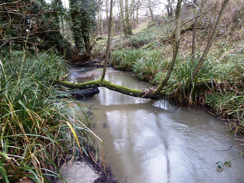 File:Seabrook Stream 6.jpg