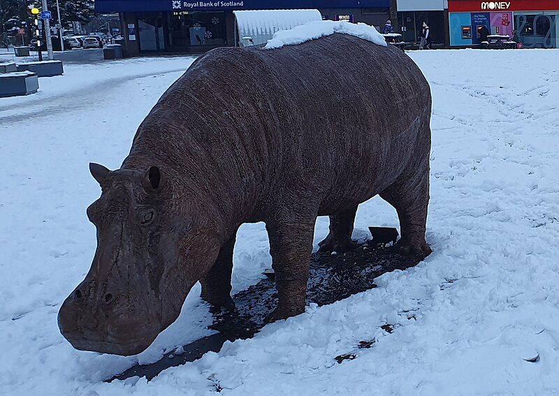 File:The Hippo Glenrothes.jpg