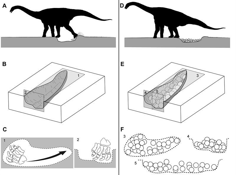 File:Titanosaur nesting.jpg