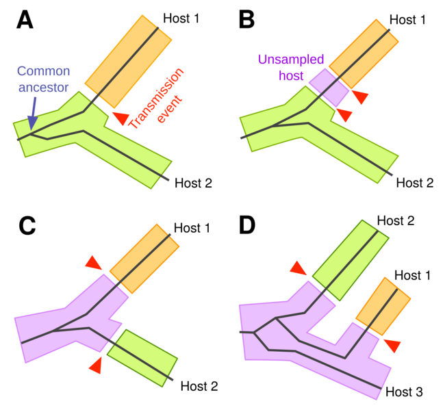 File:Transmission tree issues.png