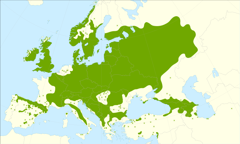 File:Ulmus glabra range.svg