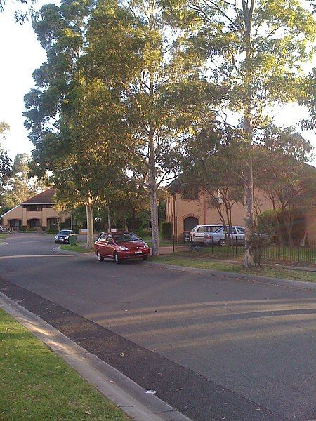 File:Yennora Street.JPG