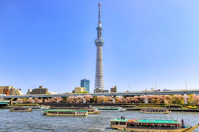 File:隅田公園右岸からスカイツリーと桜.jpg