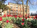 Arps Hall on Ohio State's campus. By David Peterson