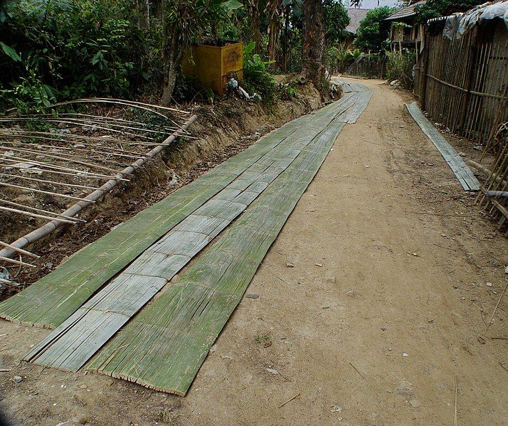 File:Bamboo-Harvesting,-Mai-Chau,-Vietnam.jpg