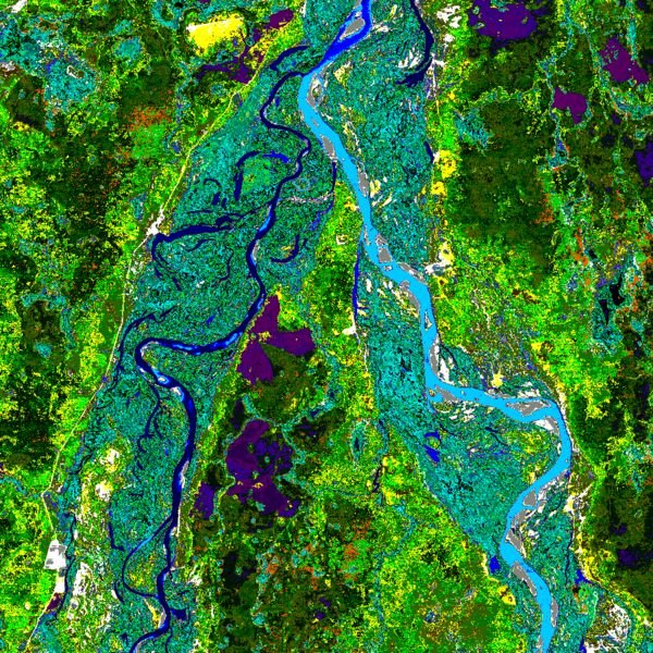 File:Bananal-Island-North-End-Landsat-25-07-1992.png