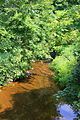 Boile Run in its lower reaches