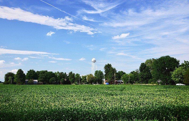 File:Bragg-City-water-tower-mo.jpg