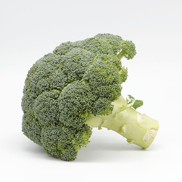 File:Brocoli 02.jpg