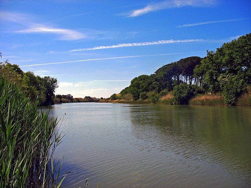 File:Cecina river.jpg