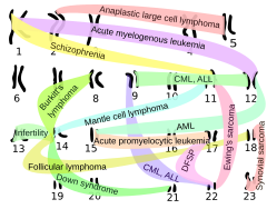 Chromosomal translocations