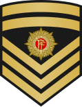 File:Ireland-Navy-OR-8.svg