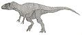 Megaraptor