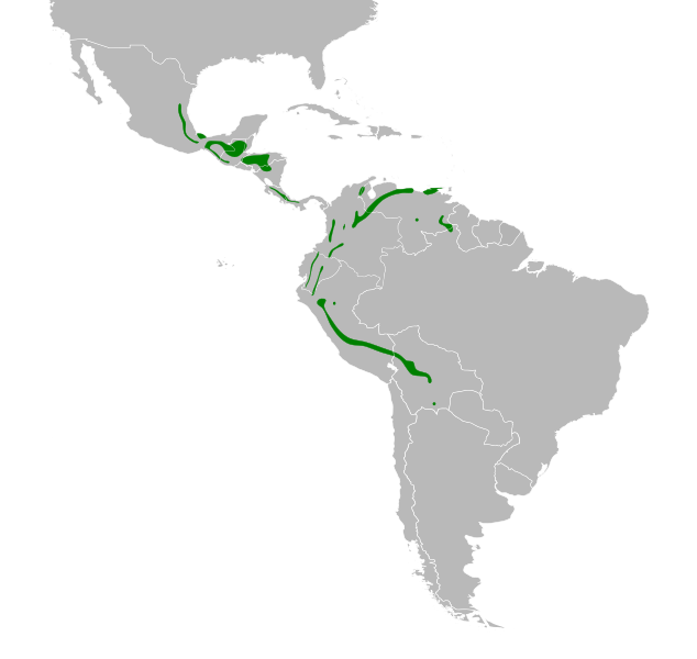 File:Piranga leucoptera map.svg