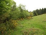 Plainsfield Camp slight univallate hillfort