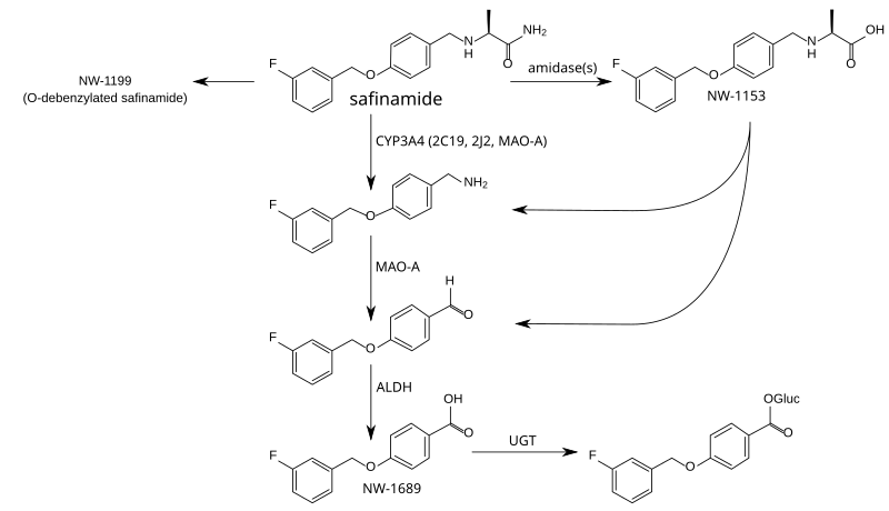 File:Safinamide metabolism.svg