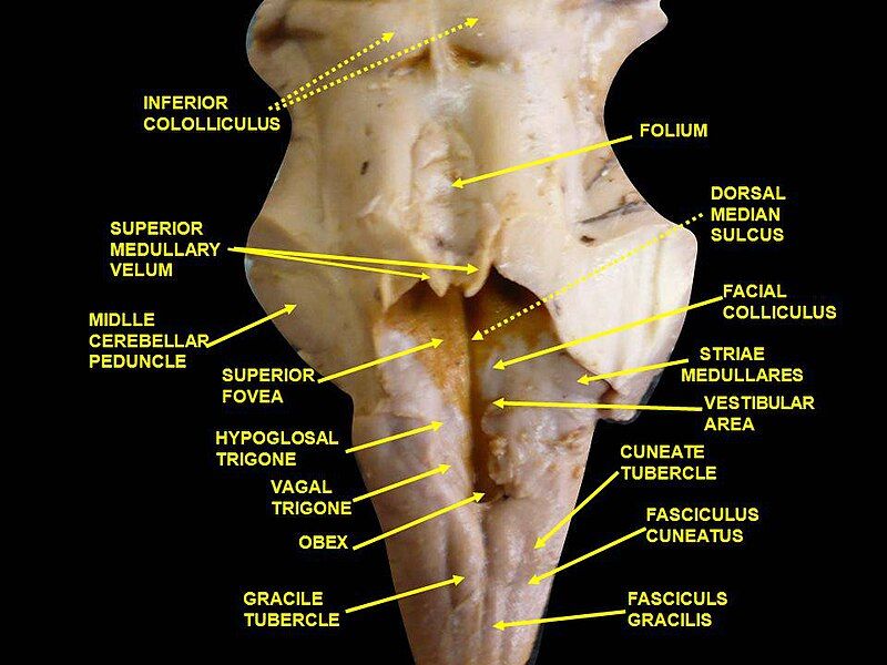 File:Slide2PITER.JPG