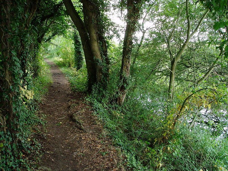 File:South Cerney canal.jpg