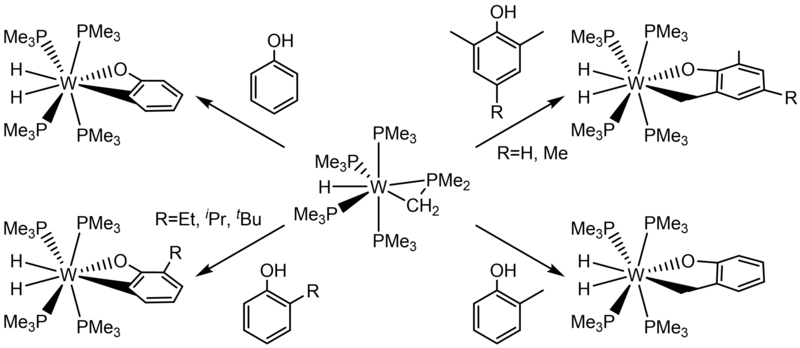 File:W(PMe3)4(η2-CH2PMe2)H with Phenols.png