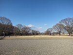 Shimotsuke Kokubunniji ruins