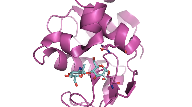 File:1H6MGlu35Gln Mutant bound.png