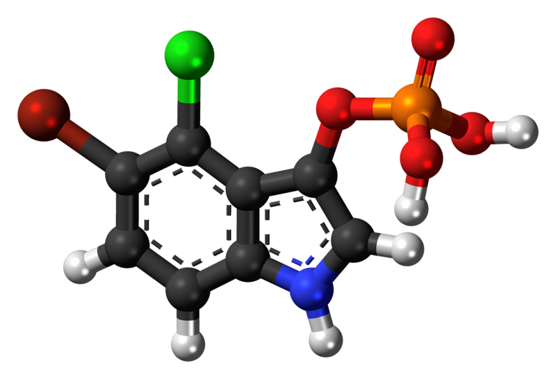 File:5-Bromo-4-chloro-3-indolyl-phosphate-3D-balls.png