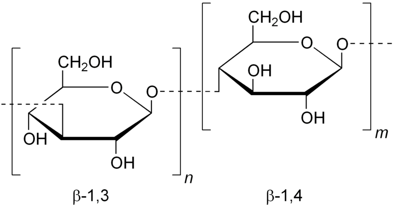 File:Beta-1,3-1,4-glucan.png