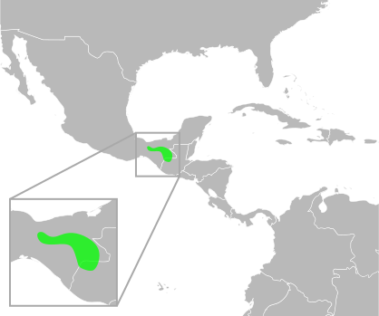 File:Bufo macrocristatus distribution.svg