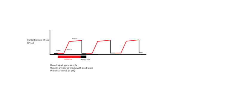 File:Capnography CO2 mixing.png